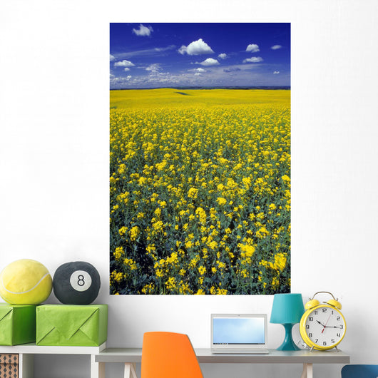 Field Canola Wall Decal Design 1