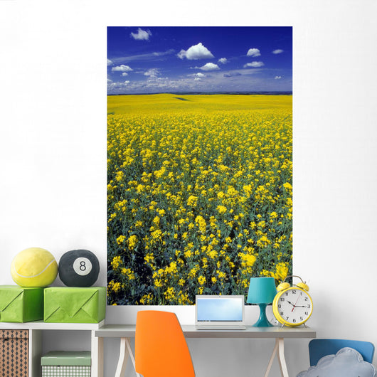Field Canola Wall Decal Design 1