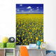 Field Canola Wall Decal Design 1