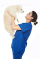 smiling veterinar hold dog Wall Decal