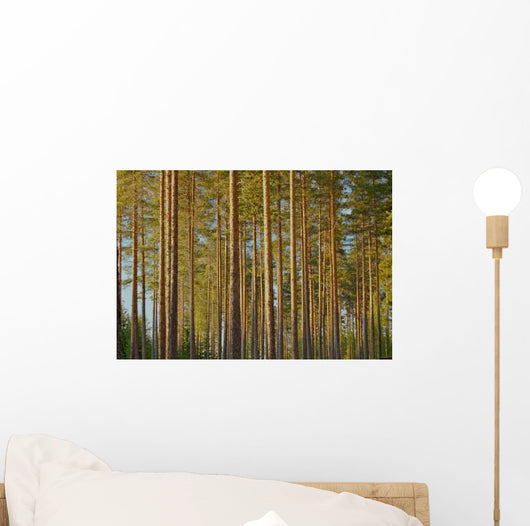 Pine Forest Wall Decal