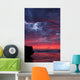 Sky Fire Wall Decal