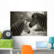 Portrait of to Zebras Sepia Look Wall Mural