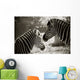 Portrait of to Zebras Sepia Look Wall Mural