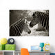 Portrait of to Zebras Sepia Look Wall Mural