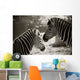 Portrait of to Zebras Sepia Look Wall Mural