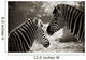 Portrait of to Zebras Sepia Look Wall Mural