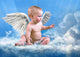 Angel Wall Mural