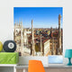 Panorama from Duomo Roof Wall Decal