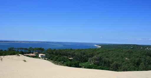 Dune Pilat 1 Wall Decal