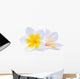 White Frangipani Plumeria Flower Wall Decal