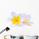 White Frangipani Plumeria Flower Wall Decal