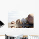 Muscheln Wall Decal