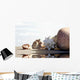Muscheln Wall Decal
