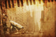 Broadway Music Wall Mural