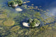 Islands Delta Okavango Wall Decal