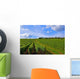 Vines Wall Decal