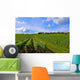 Vines Wall Decal