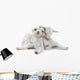  two goat Wall Decal