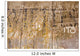French Graffito Wall Mural