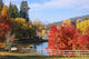 Fall Foliage Deschutes River Wall Mural