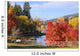 Fall Foliage Deschutes River Wall Mural