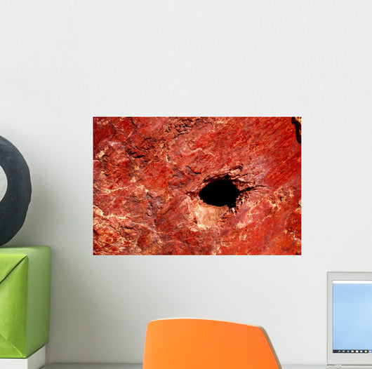 Cave Wall Mural