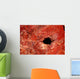 Cave Wall Mural