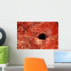 Cave Wall Mural