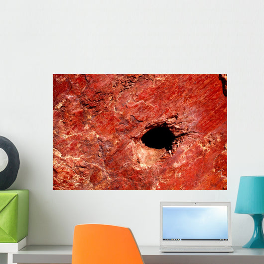 Cave Wall Mural