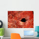 Cave Wall Mural