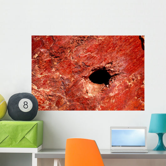 Cave Wall Mural