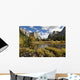 Yosemite National Park Wall Mural