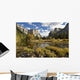 Yosemite National Park Wall Mural
