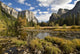 Yosemite National Park Wall Mural