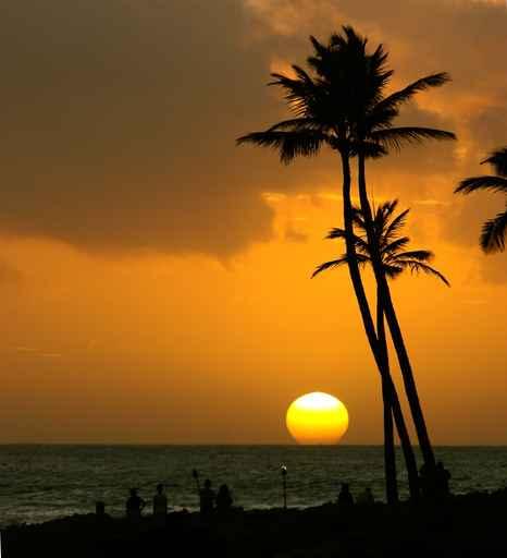 Tropical Sunset Wall Decal Design 6