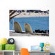 Surf Wall Mural