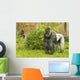 Silverback gorilla watching his territory Wall Mural