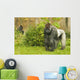 Silverback gorilla watching his territory Wall Mural