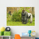 Silverback gorilla watching his territory Wall Mural