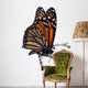 Isolated Monarch Butterfly on a Branch Wall Decal