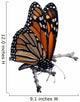 Isolated Monarch Butterfly on a Branch Wall Decal