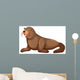 Sea lion with happy face Wall Mural