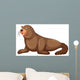 Sea lion with happy face Wall Mural