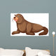 Sea lion with happy face Wall Mural
