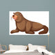 Sea lion with happy face Wall Mural
