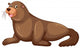 Sea lion with happy face Wall Mural