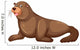 Sea lion with happy face Wall Mural