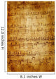 Musical Notes Page Wall Mural