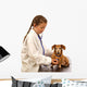Child little girl playing doctor veterinarian with little dog. Wall Decal